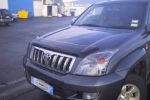 Иконка:Защита передних фар Toyota Land Cruiser Prado (J120) 2002 - 2009.